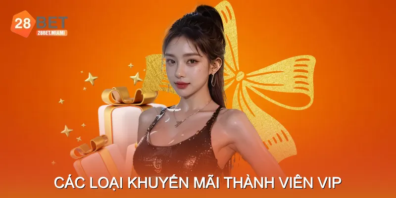 Các Loại Khuyến Mãi Thành Viên VIP Các Loại Khuyến Mãi Thành Viên VIP