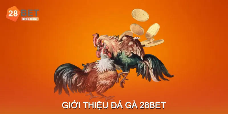 Giới Thiệu Đá Gà 28BET Giới Thiệu Đá Gà 28BET
