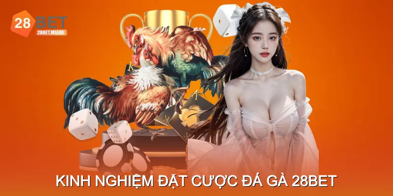 Kinh Nghiệm Soi Kèo Và Đặt Cược Đá Gà 28BET Kinh Nghiệm Soi Kèo Và Đặt Cược Đá Gà 28BET