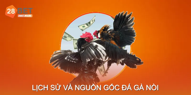 Lịch Sử Và Nguồn Gốc Đá Gà Nòi Lịch Sử Và Nguồn Gốc Đá Gà Nòi